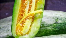 吃瓜群众 网红,揭秘网络时代的社交现象