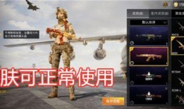 吃鸡时装最新爆料视频下载,炫酷造型抢先看！