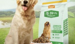 狗哥爆料狗粮视频播放,狗粮视频播放背后的秘密